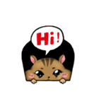 Daily Chipmunk（個別スタンプ：18）