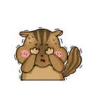Daily Chipmunk（個別スタンプ：31）