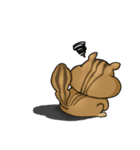 Daily Chipmunk（個別スタンプ：37）