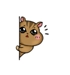 Daily Chipmunk（個別スタンプ：38）