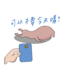 紙幣君（個別スタンプ：21）