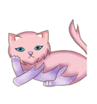 Chipchip The Cat（個別スタンプ：24）
