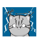 幸せの黄色い猫（個別スタンプ：13）