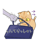 幸せの黄色い猫（個別スタンプ：30）