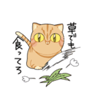 幸せの黄色い猫（個別スタンプ：38）