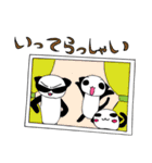 ねこぱんず（個別スタンプ：6）