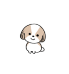 dog mari（個別スタンプ：1）