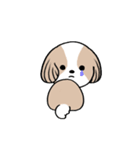 dog mari（個別スタンプ：4）