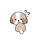 dog mari（個別スタンプ：5）