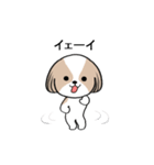 dog mari（個別スタンプ：7）