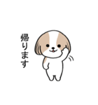 dog mari（個別スタンプ：9）