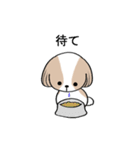 dog mari（個別スタンプ：12）