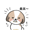 dog mari（個別スタンプ：13）