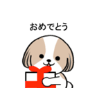 dog mari（個別スタンプ：20）