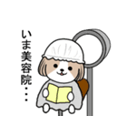 dog mari（個別スタンプ：21）