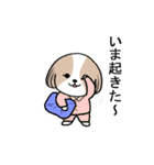 dog mari（個別スタンプ：22）