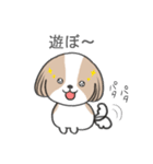 dog mari（個別スタンプ：31）