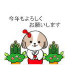 dog mari（個別スタンプ：37）