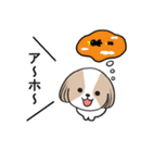 dog mari（個別スタンプ：40）