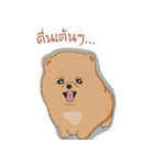 Pom Pom Marnoijomson（個別スタンプ：11）