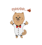 Pom Pom Marnoijomson（個別スタンプ：19）