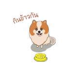 Pom Pom Marnoijomson（個別スタンプ：28）