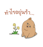 Pom Pom Marnoijomson（個別スタンプ：31）