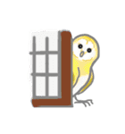 フクロウちゃんミミズクちゃん（個別スタンプ：13）