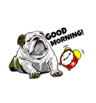 Hua-Crock The English Bulldog（個別スタンプ：11）