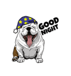 Hua-Crock The English Bulldog（個別スタンプ：12）