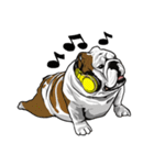 Hua-Crock The English Bulldog（個別スタンプ：22）