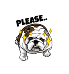 Hua-Crock The English Bulldog（個別スタンプ：25）