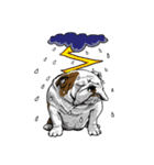 Hua-Crock The English Bulldog（個別スタンプ：26）