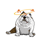 Hua-Crock The English Bulldog（個別スタンプ：39）