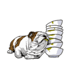 Hua-Crock The English Bulldog（個別スタンプ：40）