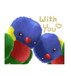 SoftParrots (English)（個別スタンプ：22）