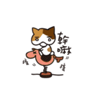 Butt Cat CIRLE CIRLE（個別スタンプ：1）