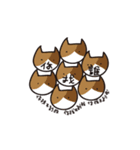 Butt Cat CIRLE CIRLE（個別スタンプ：8）