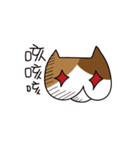 Butt Cat CIRLE CIRLE（個別スタンプ：12）