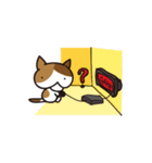 Butt Cat CIRLE CIRLE（個別スタンプ：16）