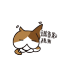 Butt Cat CIRLE CIRLE（個別スタンプ：27）