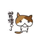 Butt Cat CIRLE CIRLE（個別スタンプ：30）