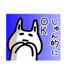 【しゅん】さんが使える名前スタンプ（個別スタンプ：9）