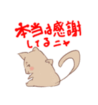 シニカルなネコ（個別スタンプ：1）