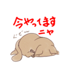 シニカルなネコ（個別スタンプ：5）