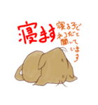 シニカルなネコ（個別スタンプ：18）