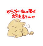 シニカルなネコ（個別スタンプ：19）