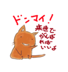シニカルなネコ（個別スタンプ：32）