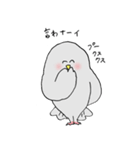 時報鳩2（個別スタンプ：19）