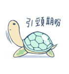 lazylazy turtle（個別スタンプ：1）